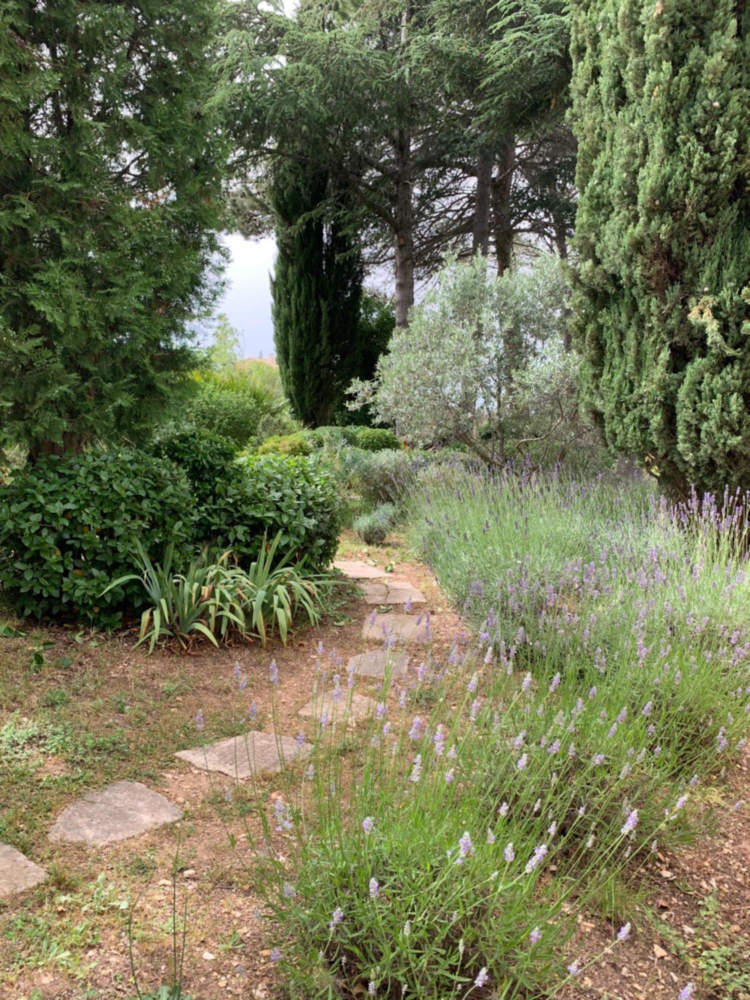 Mazet Leajo Villa Eygalières Eksteriør bilde